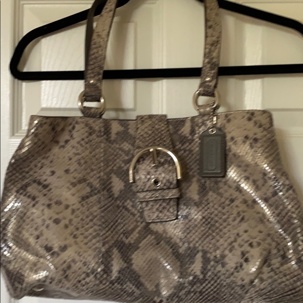 Coach Snake Skin handbag